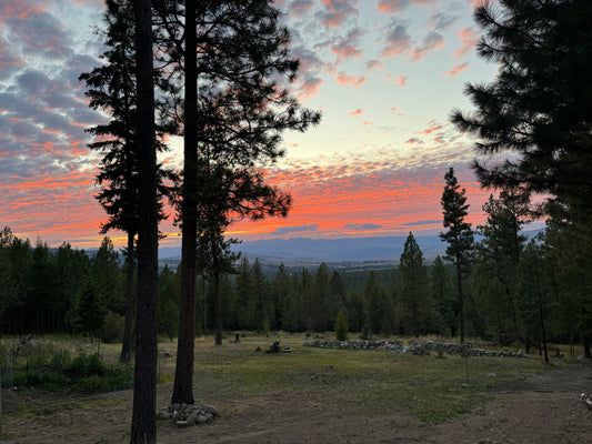 Another stellar sunset